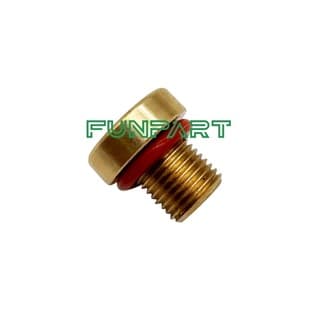 LR034624 LR031393 17111712788 11537793373 Copper Drain Plug Bolt Screw