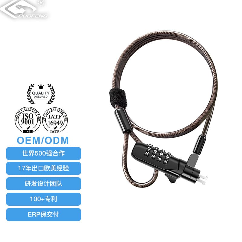 Manufacturer Wholesale 6*2.5 Lock Hole Laptop Lock Tablet Anti-Theft Combination Lock Steel Cable Computer Lock