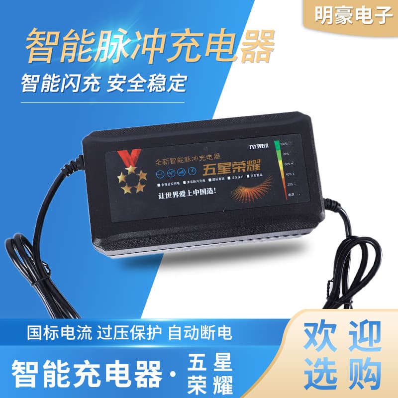 Lead-acid battery charger, Five-Star Glory, six-light display, electric vehicle 24V, 48V, 60V, 72V charger