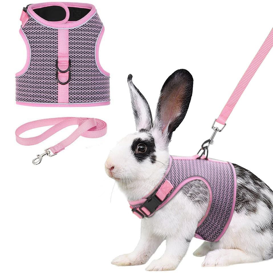 Rabbit-Specific Vest-Style Harness for Guinea Pig, Leash for Small Pets, Cat and Rabbit Harness