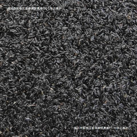 Black Tip Grass Seeds Are Bird Food That Promotes the Reproduction of Niger Hibiscus. Bird Food Canary Jade Bird Jade Bird Black Tip Seeds