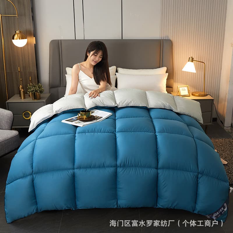 Foreign trade home textile down comforter, spring and autumn comforter core, winter comforter, thickened and warm single and double student comforter, winter cotton comforter