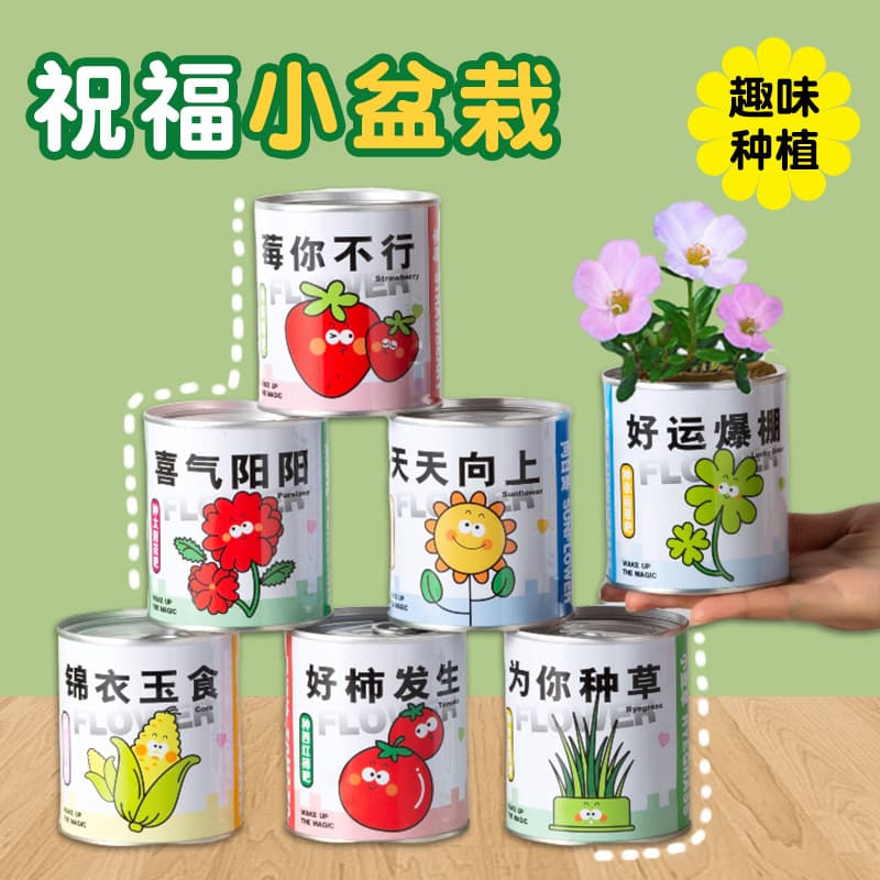 Viral Blessing Potted Plants, Tomato Seed Can Plant, Desktop Creative Children DIY Gifts, Manufacturer Wholesale