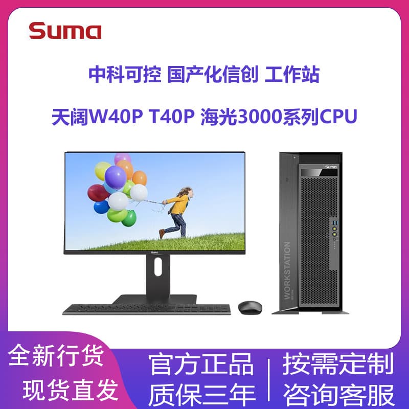 CASC Skycom Haiguang Tiankuo W40P T40P W550-H30 Domestic Xinchuang Dual Workstation H210-G30
