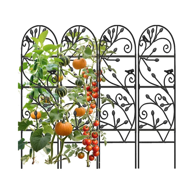 Bougainvillea iron climbing rattan flower stand climbing pergola flower stand rose rose planting courtyard fence outdoor flower stand