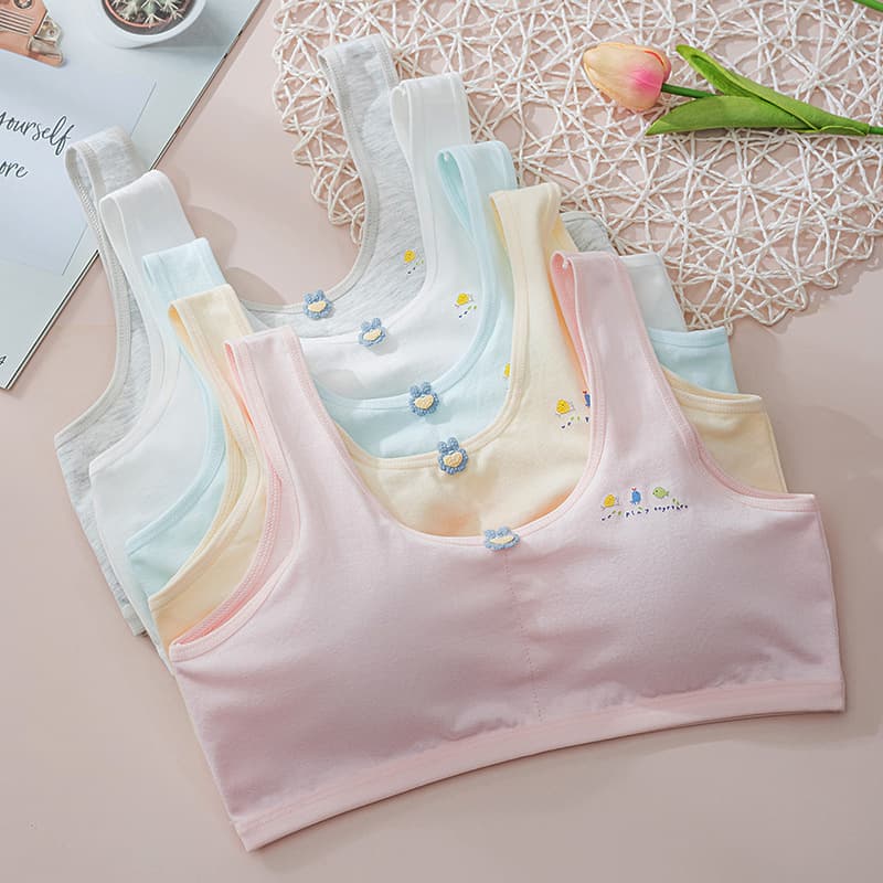 Middle School Girls Bra Student Bra Teen Girls Developing Period High School Girls Vest 9809