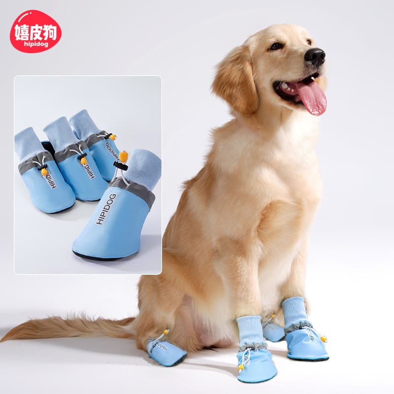 Dog English Printed Shoes Breathable For All Seasons Medium Large Dogs Outdoor Foot Covers 4 Pieces Pet Supplies