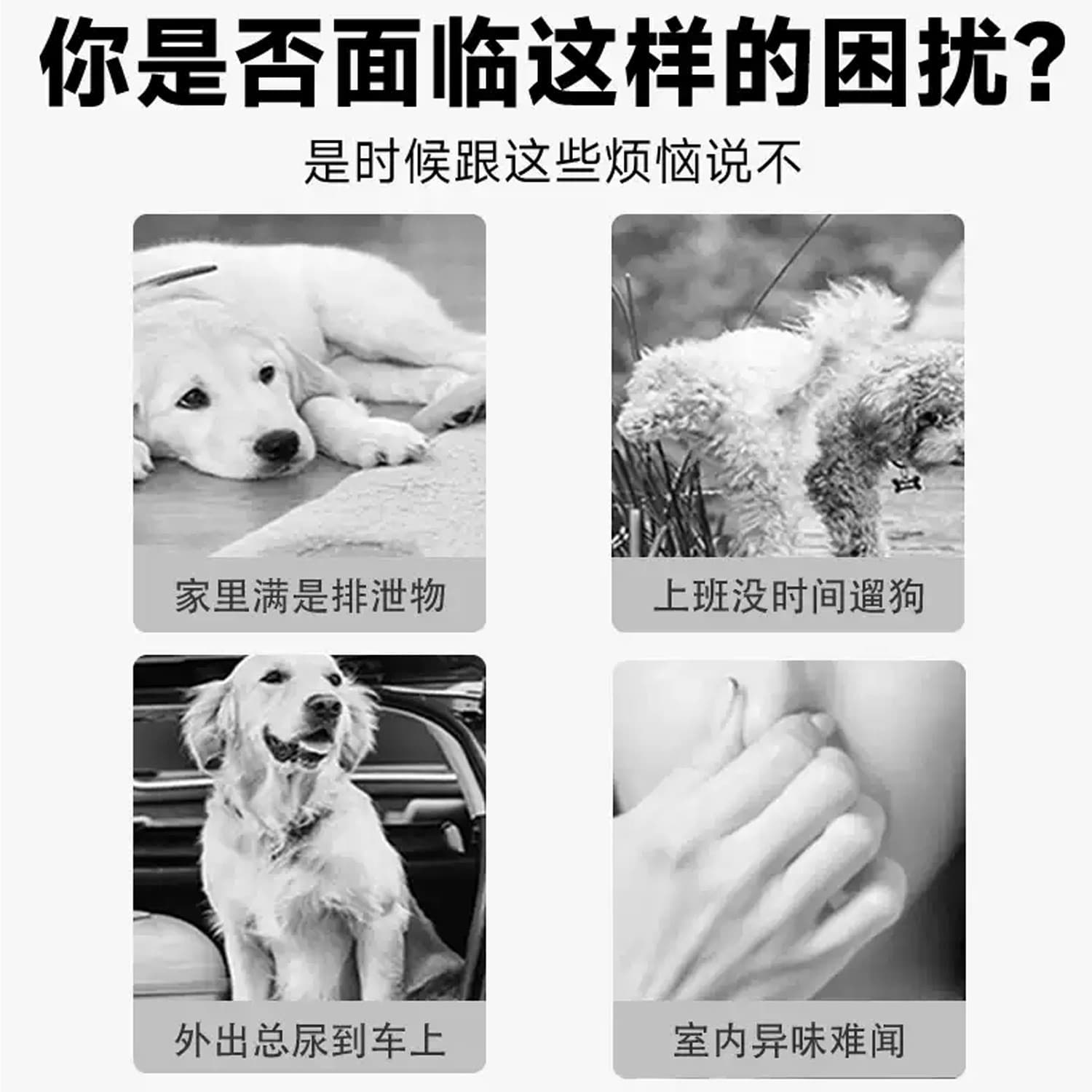 Pet Urine Pad Disposable Dog Pee Pad Economical Absorbent Deodorizing Thick Extra Thick Diaper