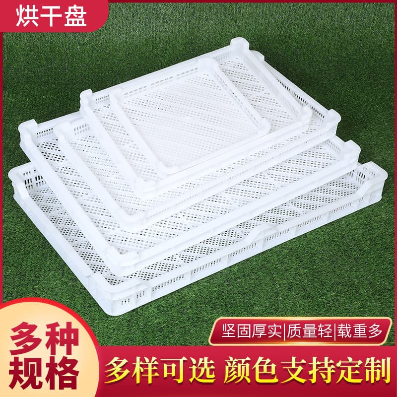 Manufacturer Plastic Single Freezer, Fruit and Vegetable Drying Tray Mesh Food Cold Storage Quick Freeze Basket, Drying Basket, Freezing Tray