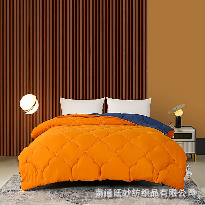 Solid Color Dual-Tone Feather Silk Quilt with 3D Piping Cloud Design, Student/Homestay Extra Thick Autumn/Winter Gift Quilt Inner Wholesale
