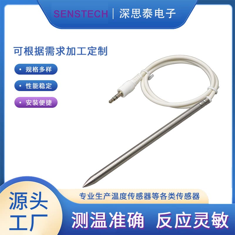 DS18B20 304 Pointed Shell TPU Sheathed Cable Injection Molding 3.5mm Plug