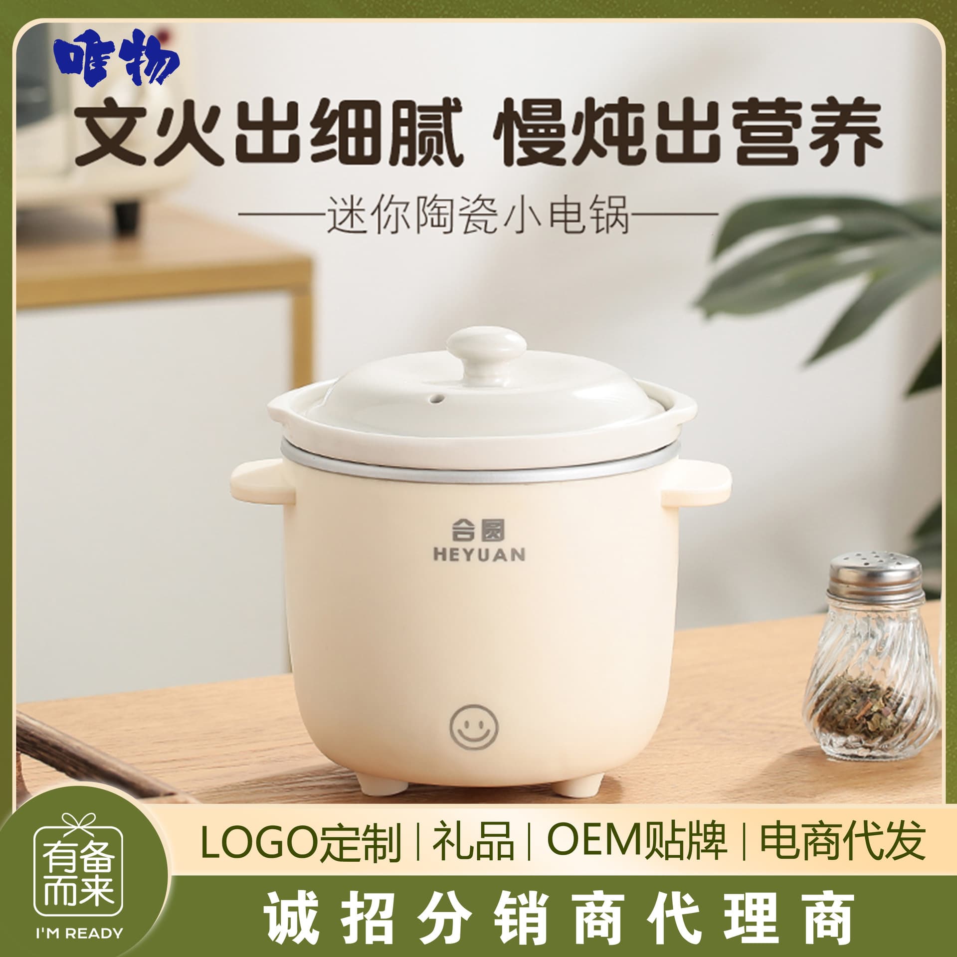 Mini Electric Stew Pot, Ceramic Cooker for Porridge, Soup, and Infant Meals, Ideal for Dorms and Homes