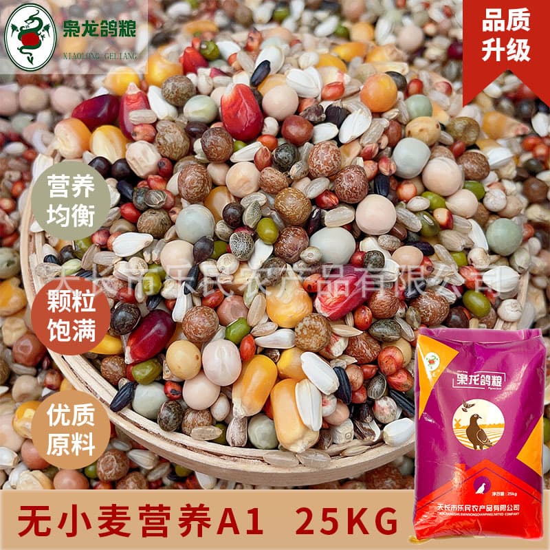 Xiaolong Pigeon Food Nutritional A1 Racing Pigeon and Homing Pigeon Feed with Corn 25kg