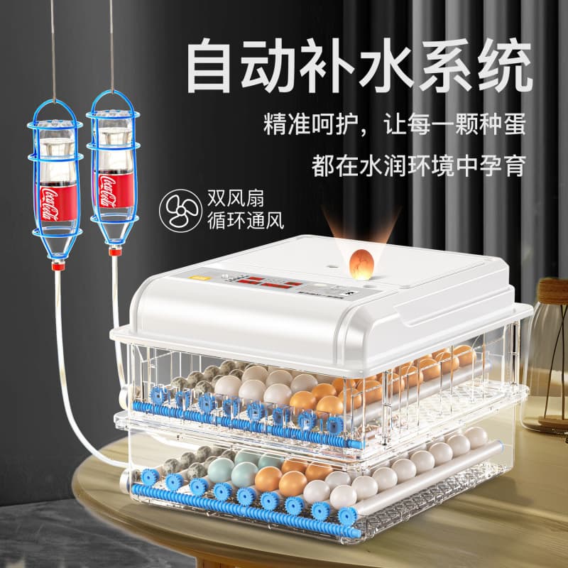 Small home incubator for chicks, ducks, geese, pigeons, and quails.