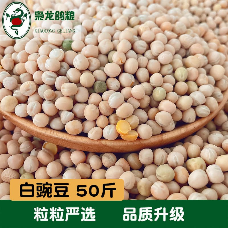Xiaolong Pigeon Food Big White Pea 25kg Racing Pigeon Bird Food Free Shipping from Zhejiang, Shanghai and Anhui