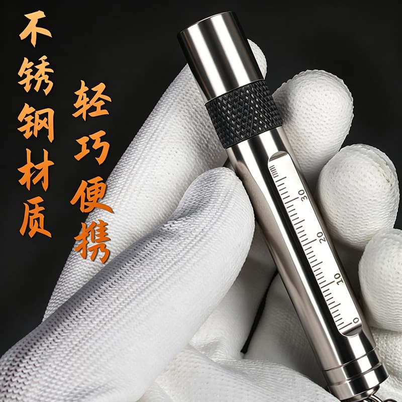 Stainless Steel Mini Flashlight Strong Light Camping Portable UV Keychain Flashlight High Lumen Handheld Light Drop Shipping