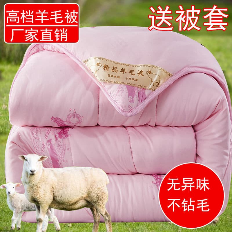 Wool Quilt 10 Jin Thickened Warm Student Single Dormitory 7A Antibacterial 1.5m/2m Deep Sleep Source Factory
