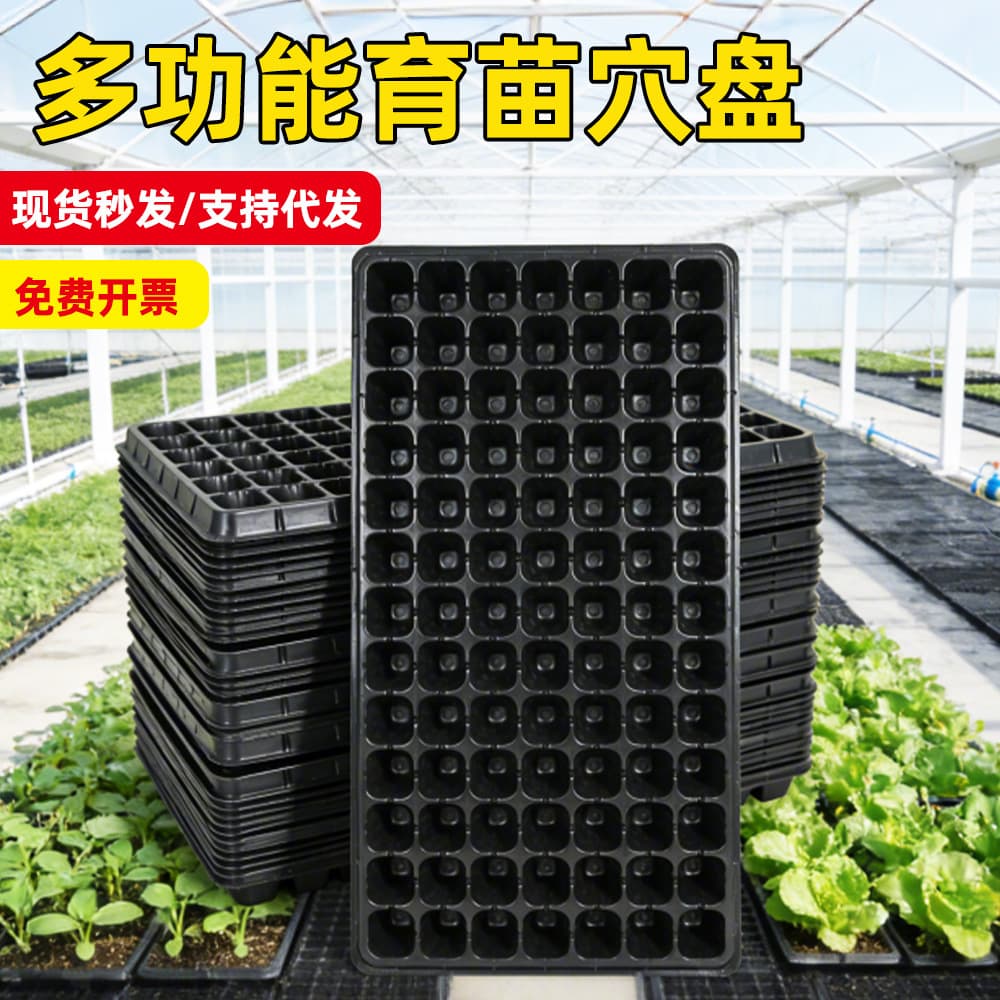 Thickened Seedling Tray, Plug Tray, Plastic Planting Tool, Nutrient Pot for Strawberry Vegetables, Cutting Box, Seedling Cup, Agricultural Tray