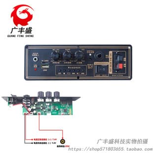 MP3 Bluetooth 5.3 Amplifier Board No Radio 12V Car Audio Portable Speaker TPA3136D2 Amplifier