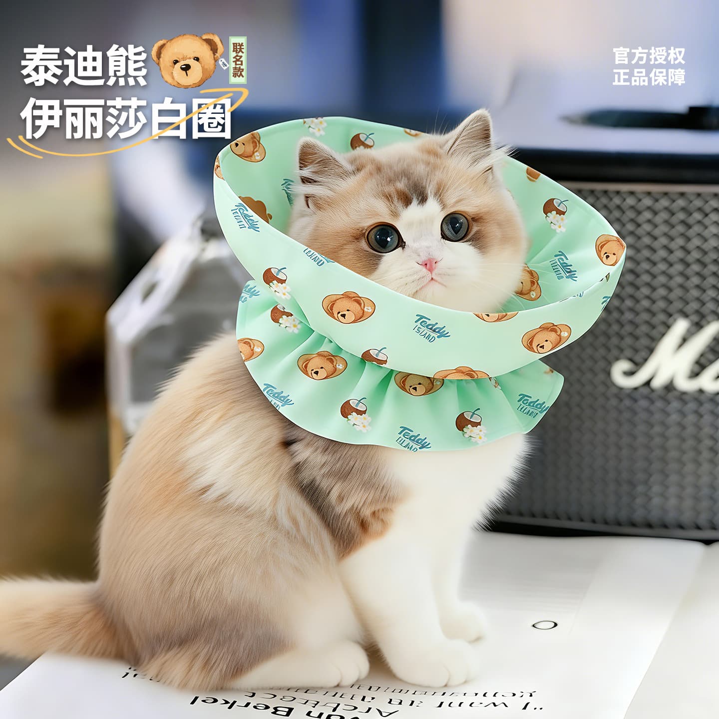 Elizabethan Soft Collar for Cats, Post-Surgery Anti-Lick Anti-Scratch, Teddy Bear Collaboration, Adjustable Pet Recovery Head Cone