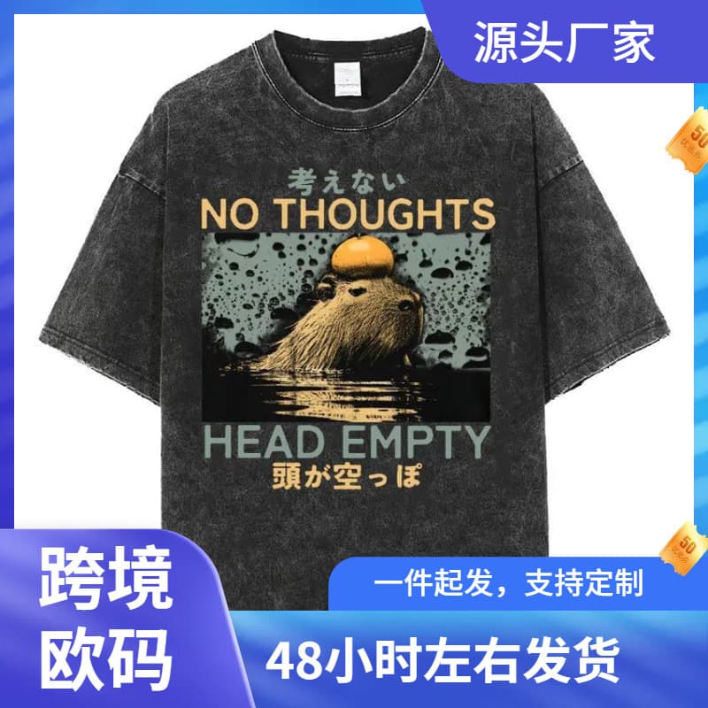 Amare Box No Thoughts Head Empty Japanese T-shirt Funny Capy