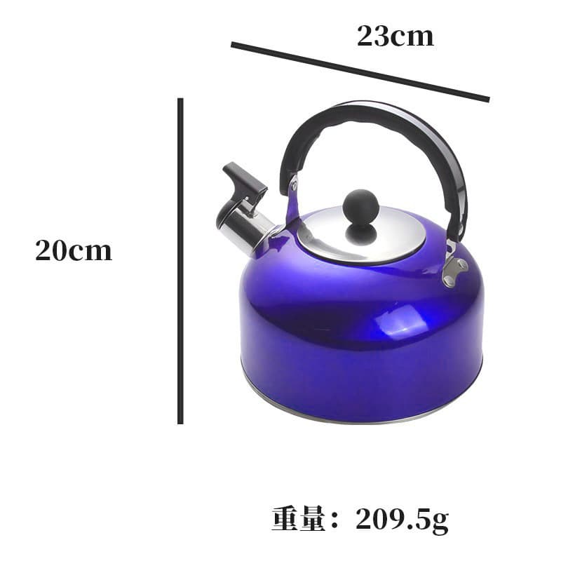 Stainless Steel Kettle Flat Bottom for Gas Stove and Induction Cooktop, Portable Outdoor Tea Kettle