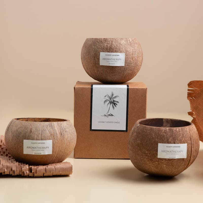 Activity hidden word coconut shell scented candle gift box niche high-end atmosphere bedroom incense fresh sea breeze souvenir