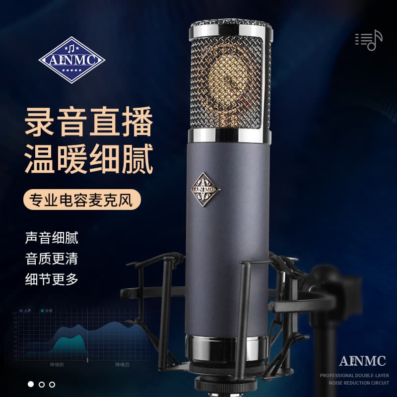 AINMC TF22 High-End Large Diaphragm Condenser Microphone for Recording Studio, KTV, Live Streaming, Audio Mixing Sound Card Microphone