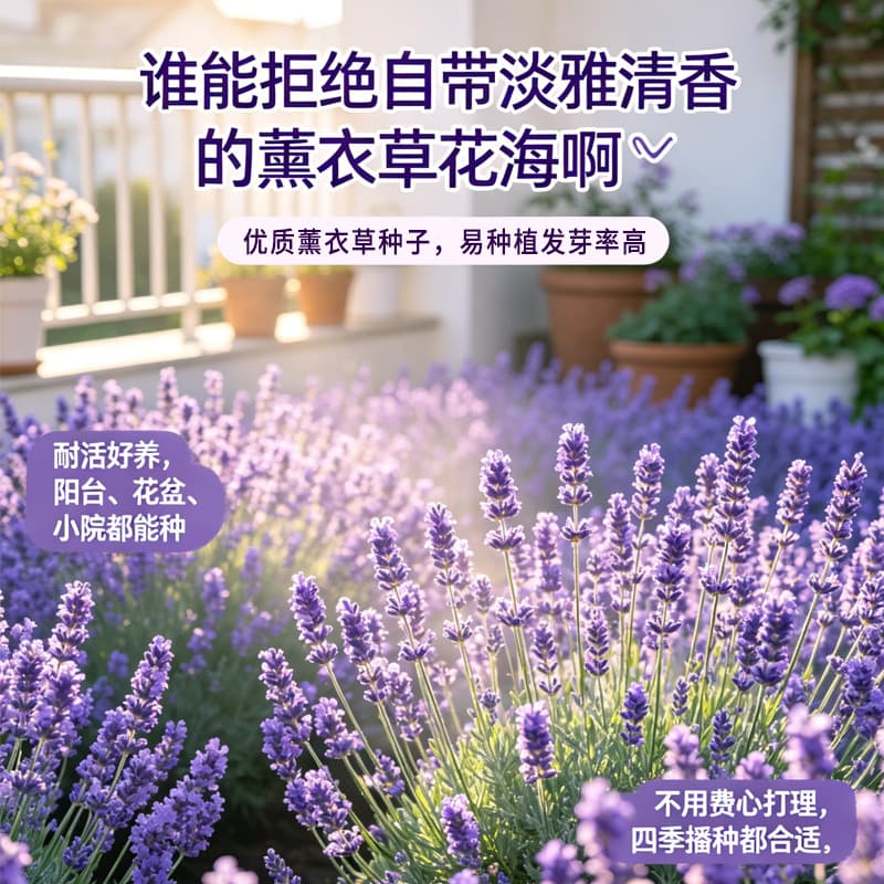 Wholesale Lavender Seeds for Garden Flower Mix, Easy to Grow Potted Landscaping Flowers Lavender Seeds