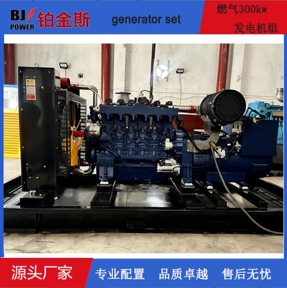 300 /500/ 600/ 800/1000 Kilowatt Biogas Generator Set 250KW Natural Gas Generator Export