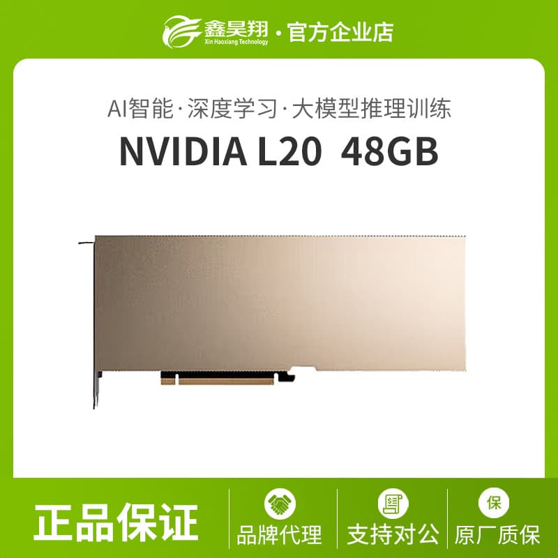 NVIDIA Tesla L20 48G AI Training Inference DeepSeek Deployment GPU 9002G13300A0000