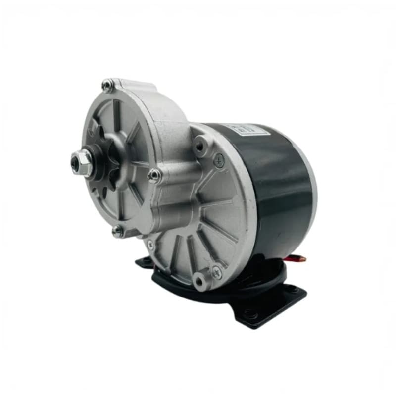 Wholesale Bicycle Conversion Electric Motor 12V 24V 250W Tricycle Motor Reduction Gear Motor MY1016