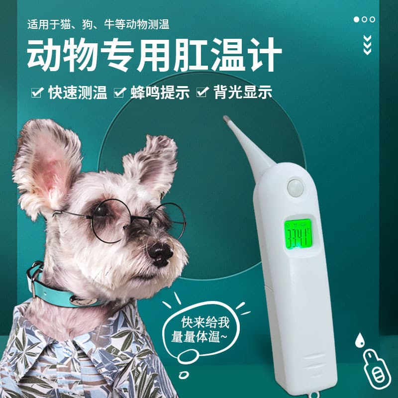 Pet Veterinary Thermometer Rectal Thermometer for Dogs Cats Pigs Electronic Thermometer