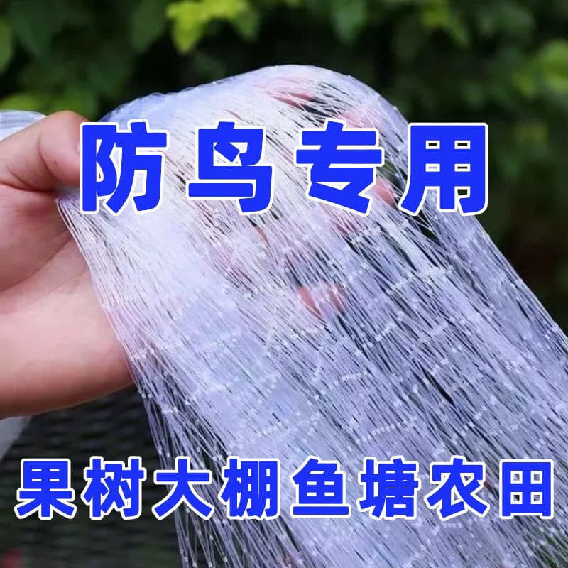 Bird Netting for Orchard, Grape, Cherry, Blueberry, Nylon Protective Net for Balcony, Fish Pond, Sky Net Factory Direct