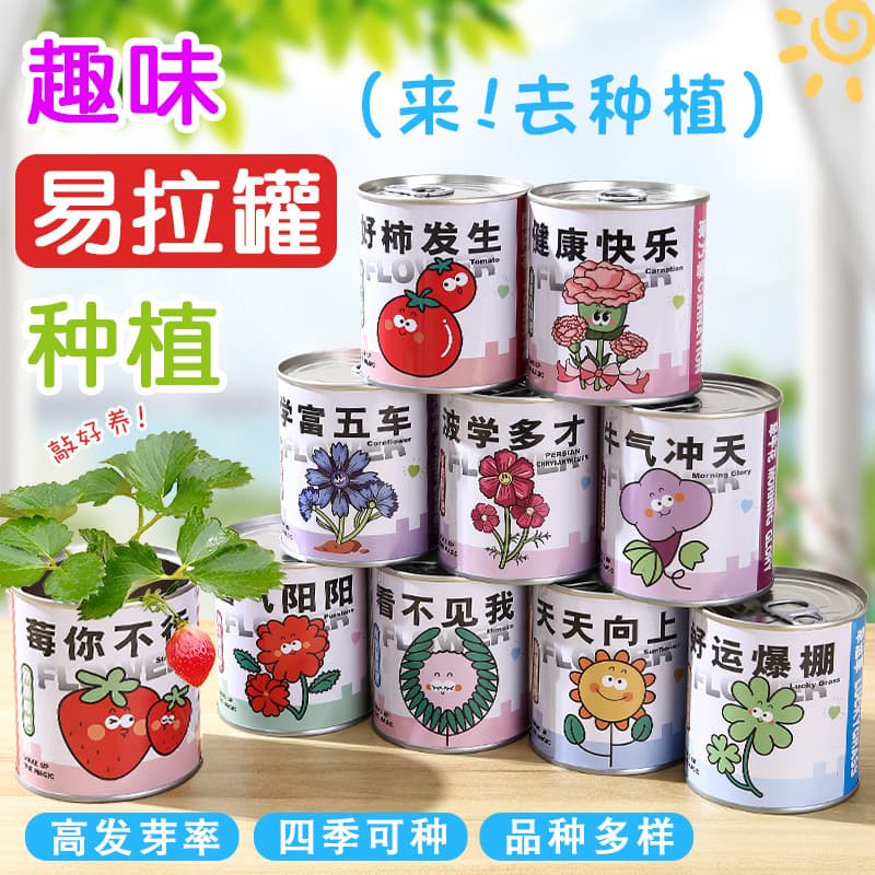 Children's potted plant blind box, kindergarten planting observation seeds, children's potted plants, desktop green plants, gifts