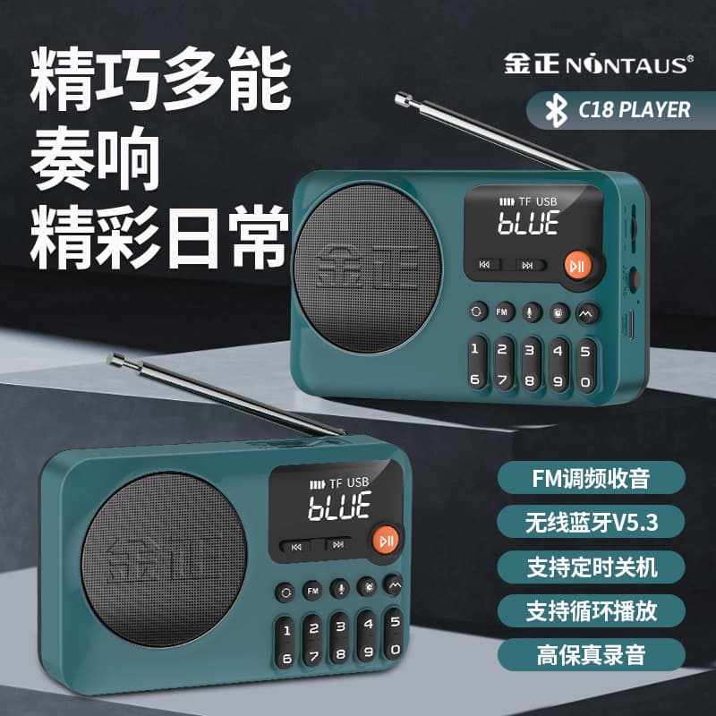 JinZheng C18 Bluetooth MP3 Player with Timer Shutdown, Card Slot, Music Singing Machine, Rechargeable Recorder