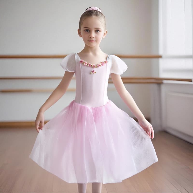 Ballet tulle performance costume for adult professional groups, long tulle skirt, ballet performance costume, organza