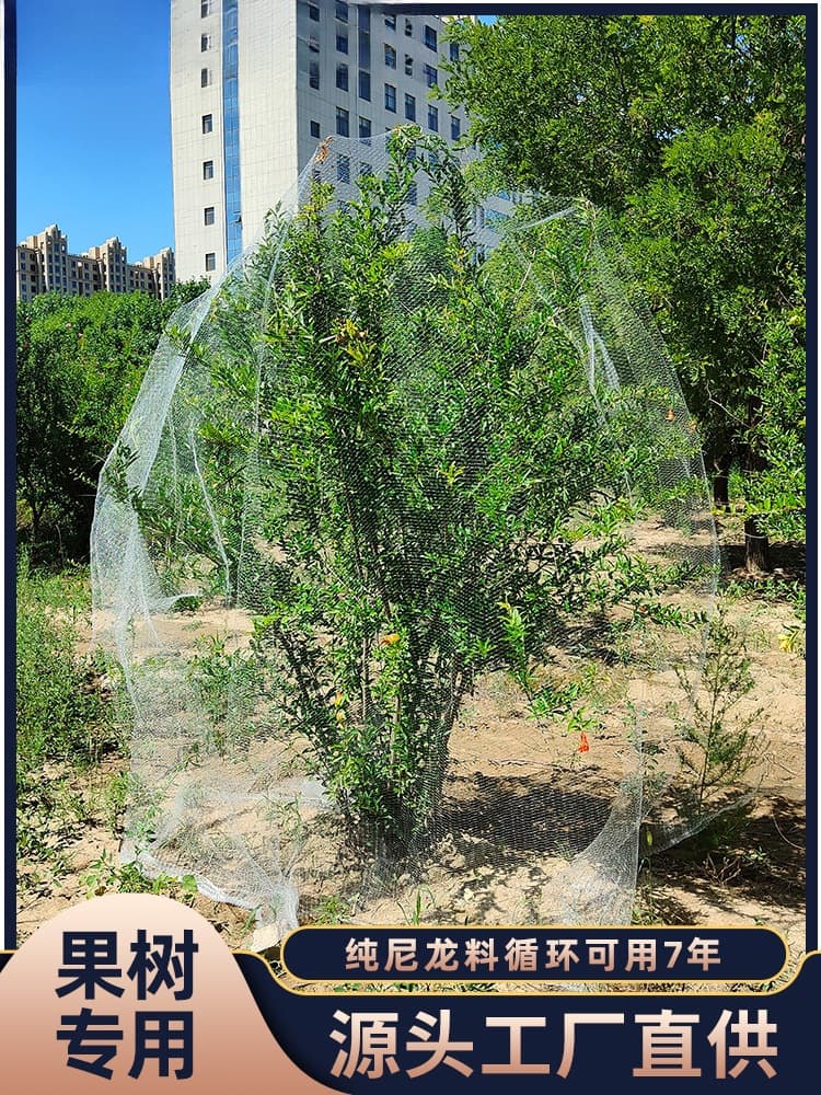 Wholesale Bird Netting for Fruit Trees Orchard Greenhouse Nylon Line Bird Proof Net Agricultural Use Cherry Tree Jabuticaba Grape Fish Pond