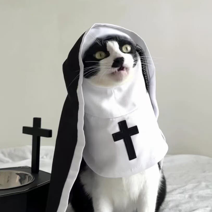 Cat Costume Pet Clothes Summer Thin Breathable Funny Cosplay Photo Props Small and Medium-Sized Ins Internet Celebrity Hot Item