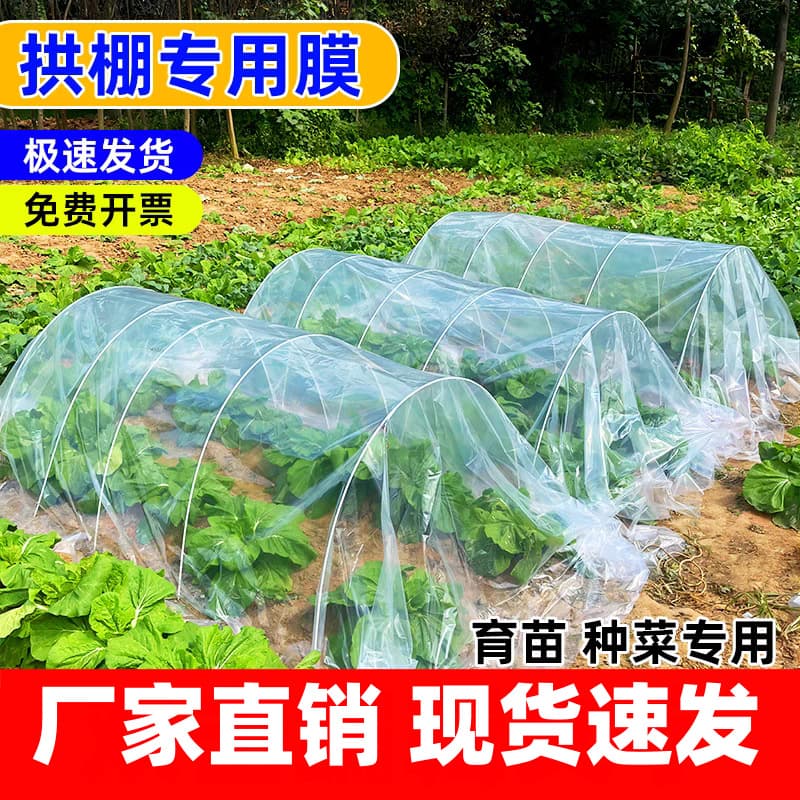 Vegetable Growing Small Arch Cover Film Agricultural Plastic Film Insulation Cold and Frost Protection Transparent Plastic Sheeting Cover Waterproof