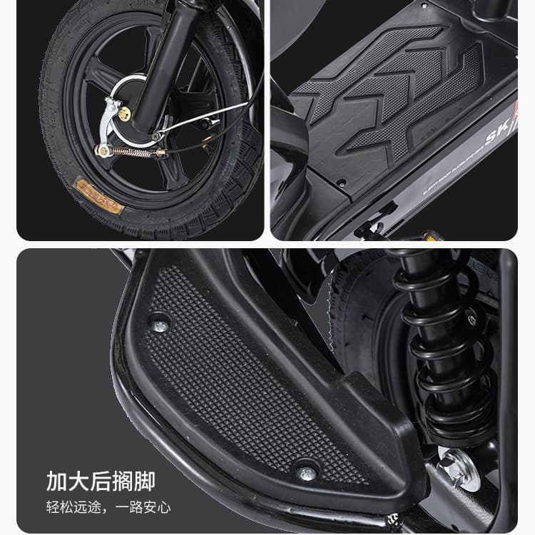 Golden Eagle National Standard Electric Bicycle Two-Wheel Adult 48V Electric Bike Dual-Person Small Electric Moped Export Wholesale