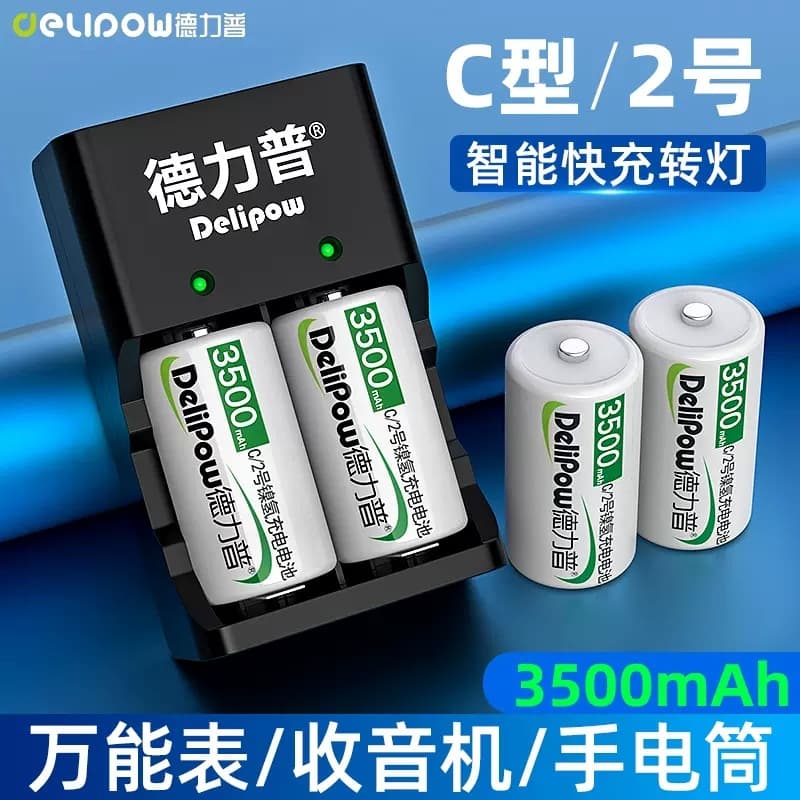 Delipow 2-Pack Rechargeable Battery Set for Digital Camera C-Type Nickel-Metal Hydride 1.2V Long-lasting Power Nickel Hydrogen Battery