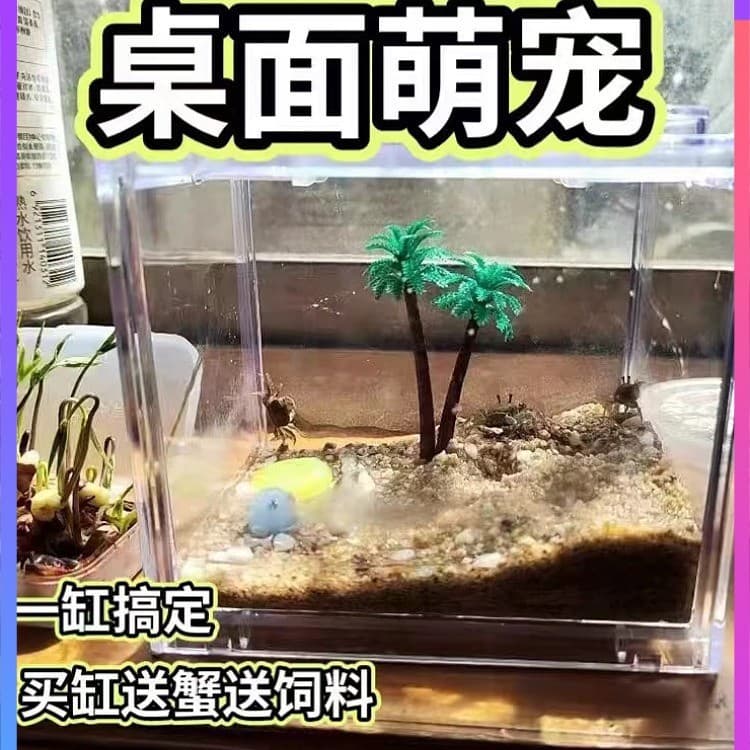 Chili Crab Breeding Tank Desktop Micro Landscape Tank Mini Chili Crab Building Block Box Small Crab Breeding Tank Office Decoration