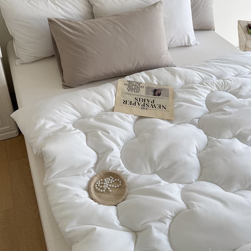 Class A Soft Skin-Friendly Brushed Washed Cotton Quilt, Whole Piece Feather Silk Cotton Autumn/Winter Duvet Inner, Household Student Summer Cool Quilt