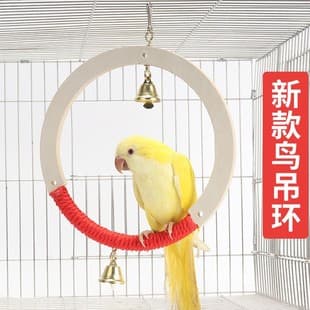 Budgie Lovebird Parrot Toy Supplies: Swing, Hanging Ring, Ladder, Climbing Ladder, Chewing, Climbing, Bird Cage Accessories
