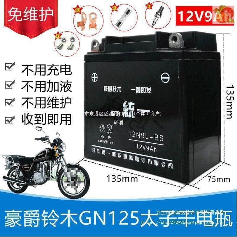 Haojue Suzuki GN Prince HJ125-8 Men's Motorcycle Maintenance-Free Battery 12V 9A Dry Battery