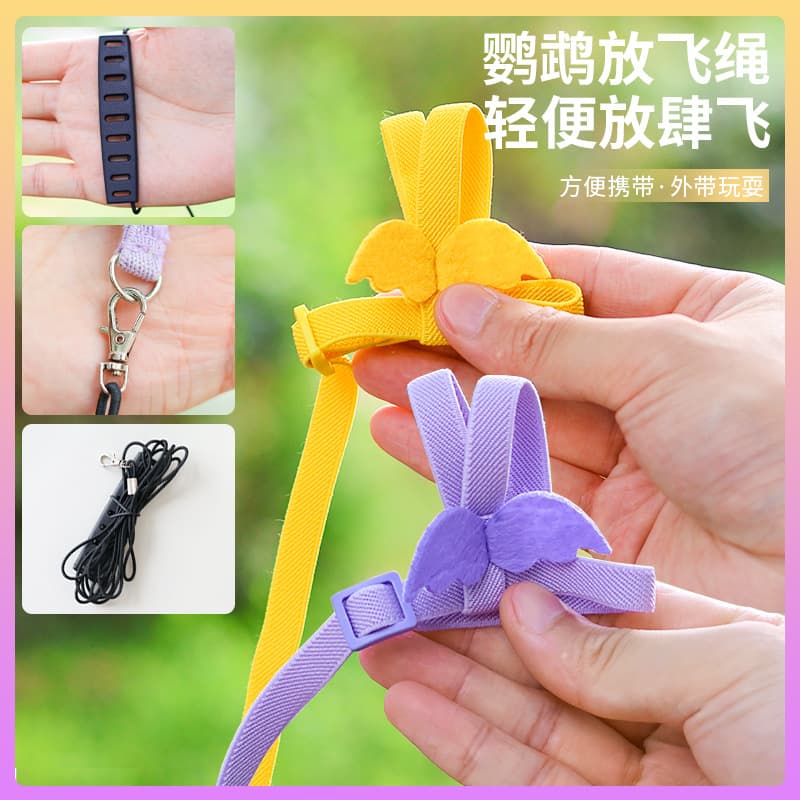 Parrot Elastic Flying Rope Traction Rope Outdoor Carrier Bird Walking Artifact Fun Interactive Outdoor Bird Walking Rope Traction Rope