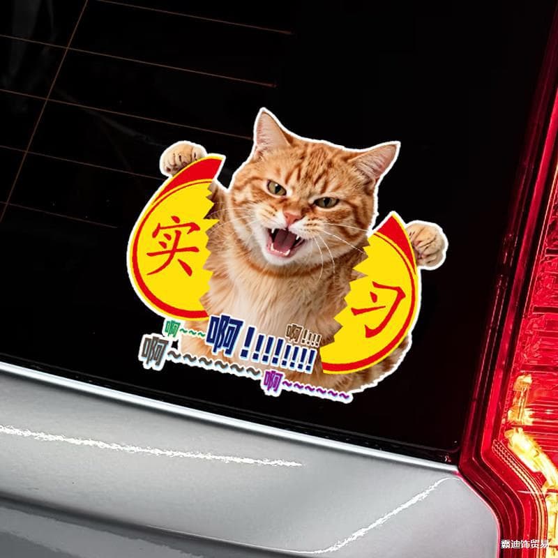 Custom Creative Funny Car Sticker Cat Novice Sticker Funny Animal Tear Expression Anti-scratch Car Decal