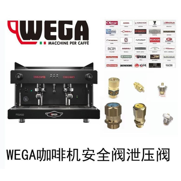 Italian WEGA Picasso Coffee Machine Parts Boiler Safety Valve Vacuum Valve Pressure Relief Valve