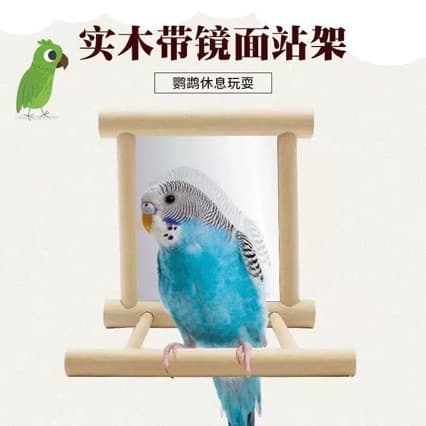 Bird Mirror Platform Parrot Toy Set with Perch and Foot Care Bar for Balcony